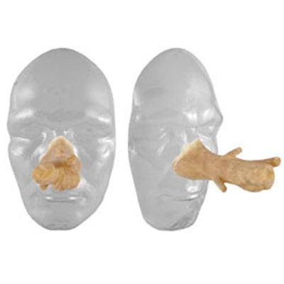 nariz de dragón de latex